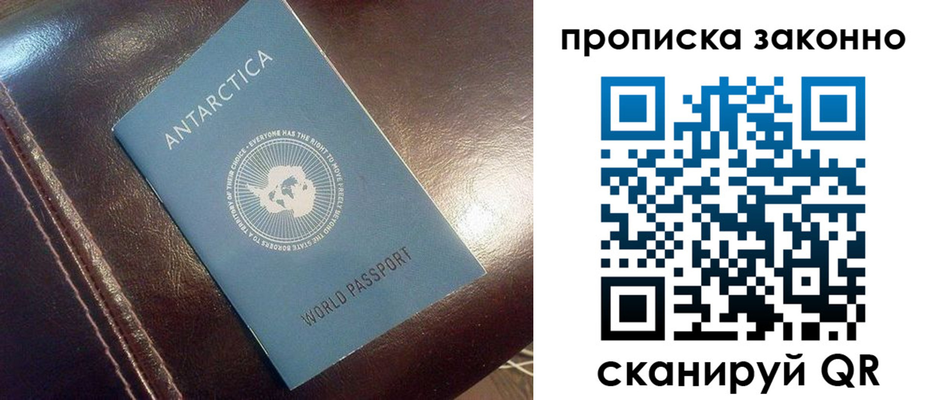 временная регистрация в Жуковке