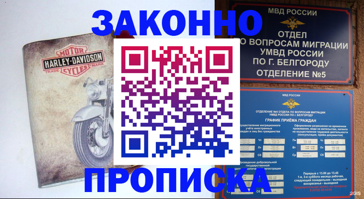 прописка для школы в Жуковке